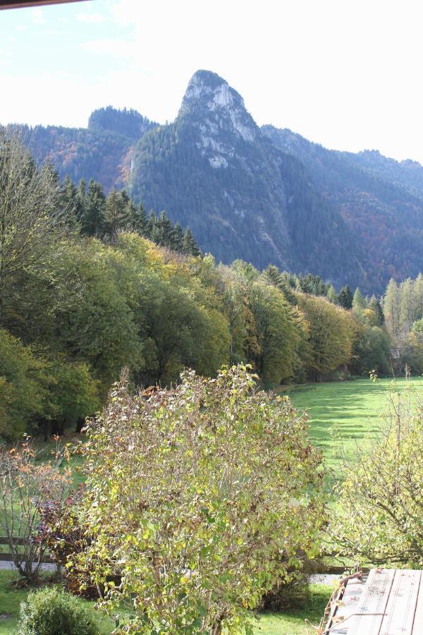Almrausch *